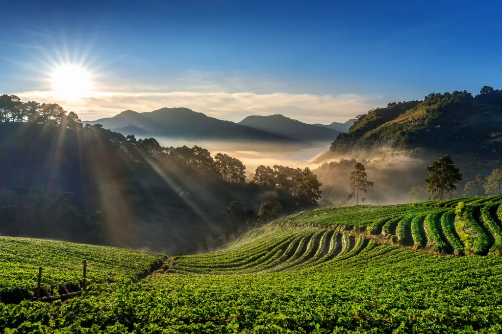 ที่พักเขาใหญ่