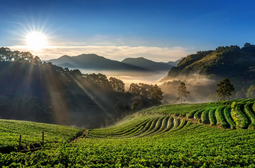 แนะนำที่พักเขาใหญ่ยอดนิยม วิวสวย ใกล้ที่เที่ยว พักผ่อนสบายทุกสไตล์
