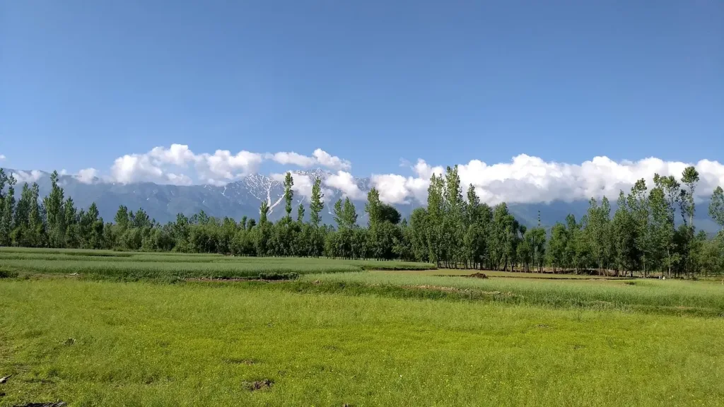 ทดสอบดิน