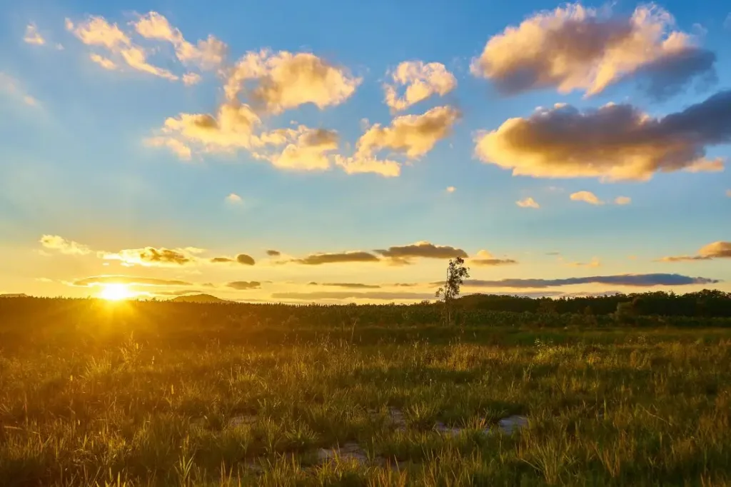 บริษัทเทสดิน