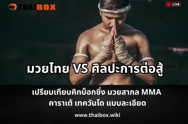 มวยไทย vs ศิลปะการต่อสู้ต่