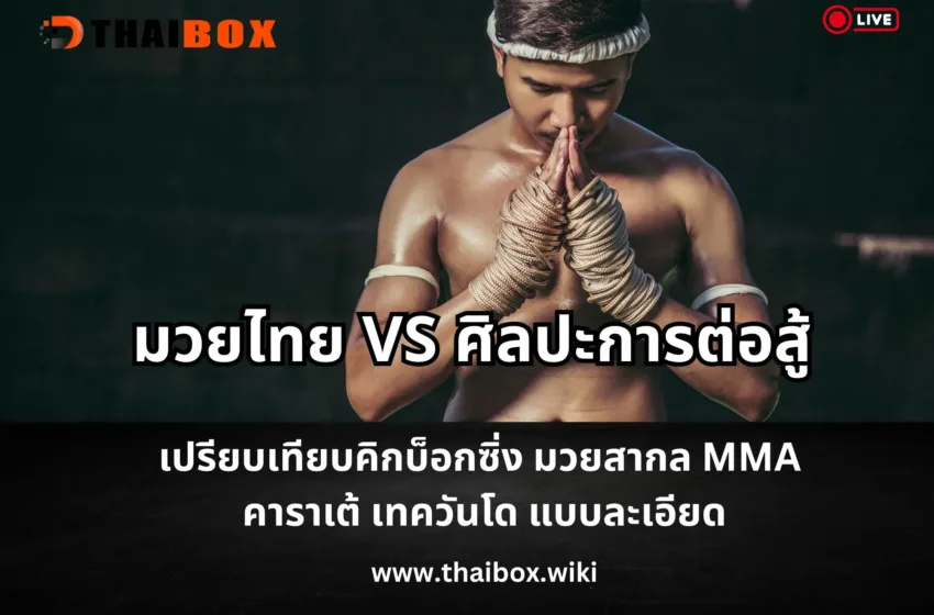 มวยไทย vs ศิลปะการต่อสู้ต่