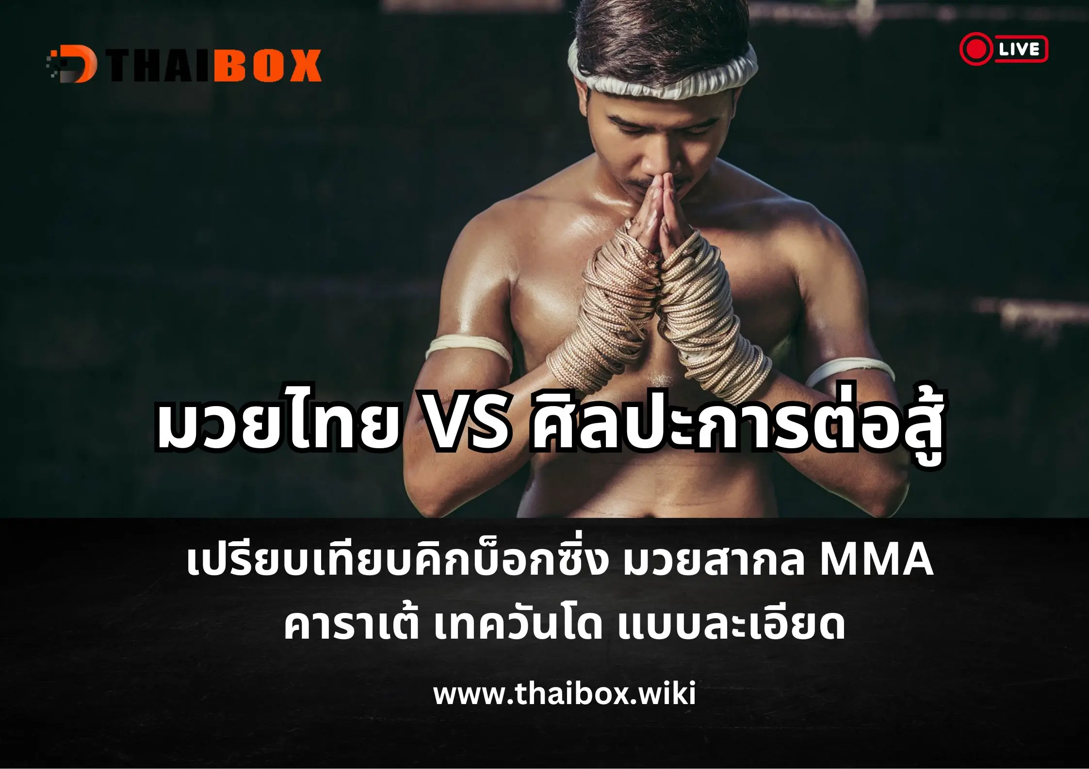 มวยไทย vs ศิลปะการต่อสู้ต่
