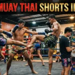 Best Muay Thai Shorts in 2026