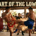 The Art of the Low Kick